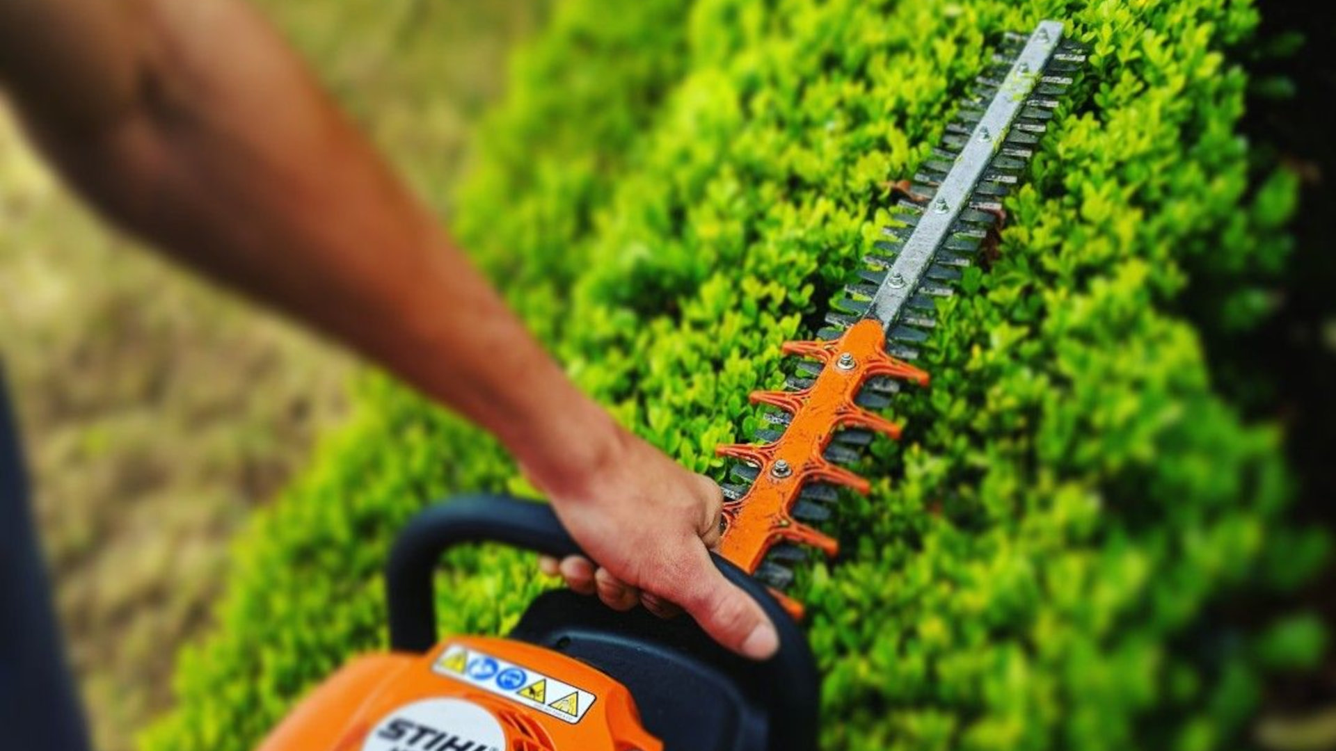 Gartenpflege, Hecken schneiden & Rasenmähen Tirol Gartenpflege und Rasenmähen Tirol