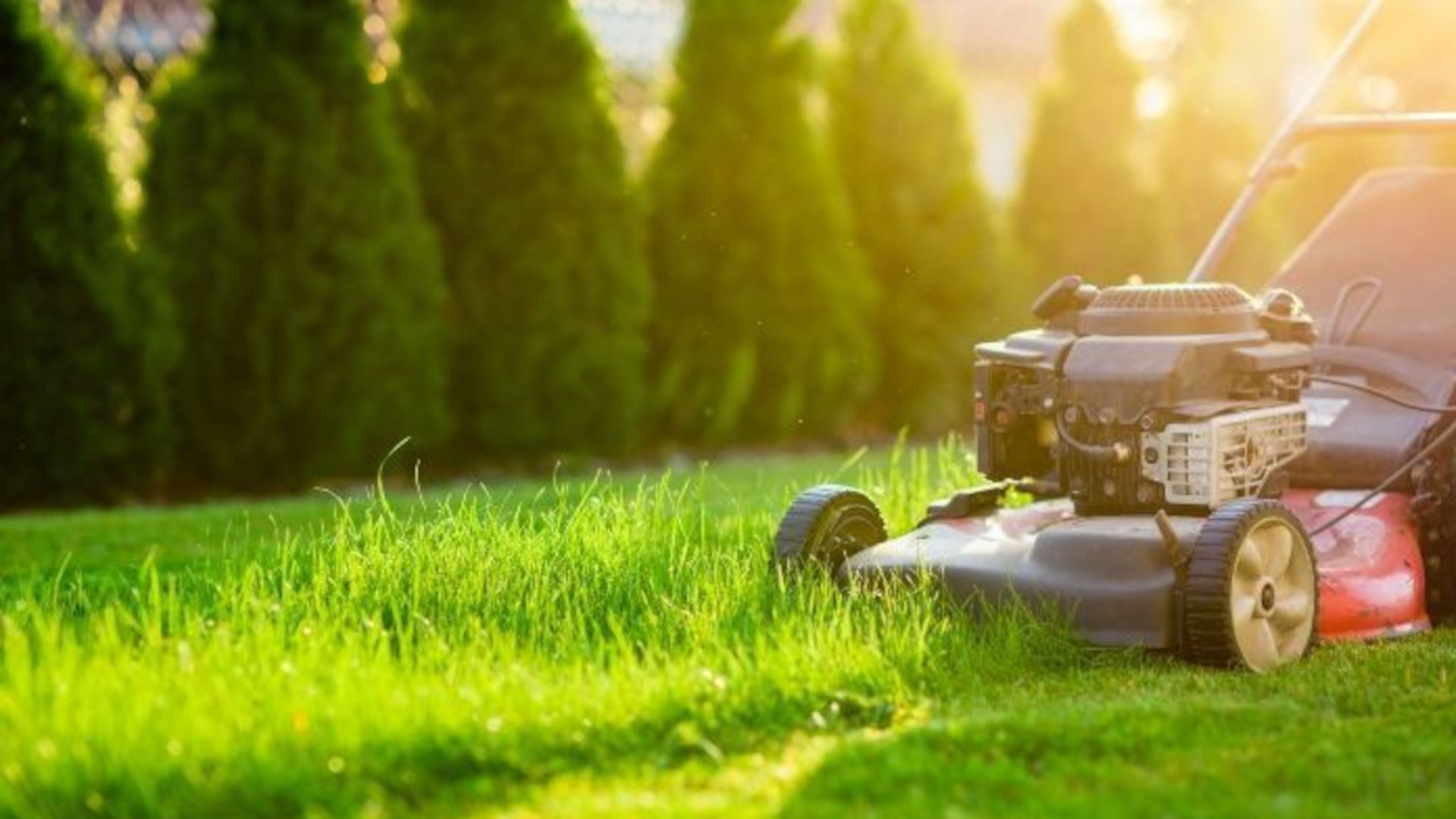 Gartenpflege, Hecken schneiden & Rasenmähen Tirol Gartenpflege und Rasenmähen Tirol