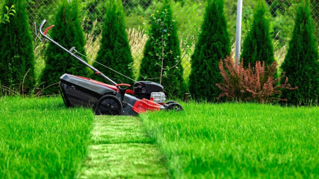 Leistungen – Möbelmontage & Handwerk in Innsbruck | MB Hausservice гартоп